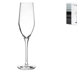 Confezione 6 calici champagne muse vinifera in vetro sonoro cl 24,5